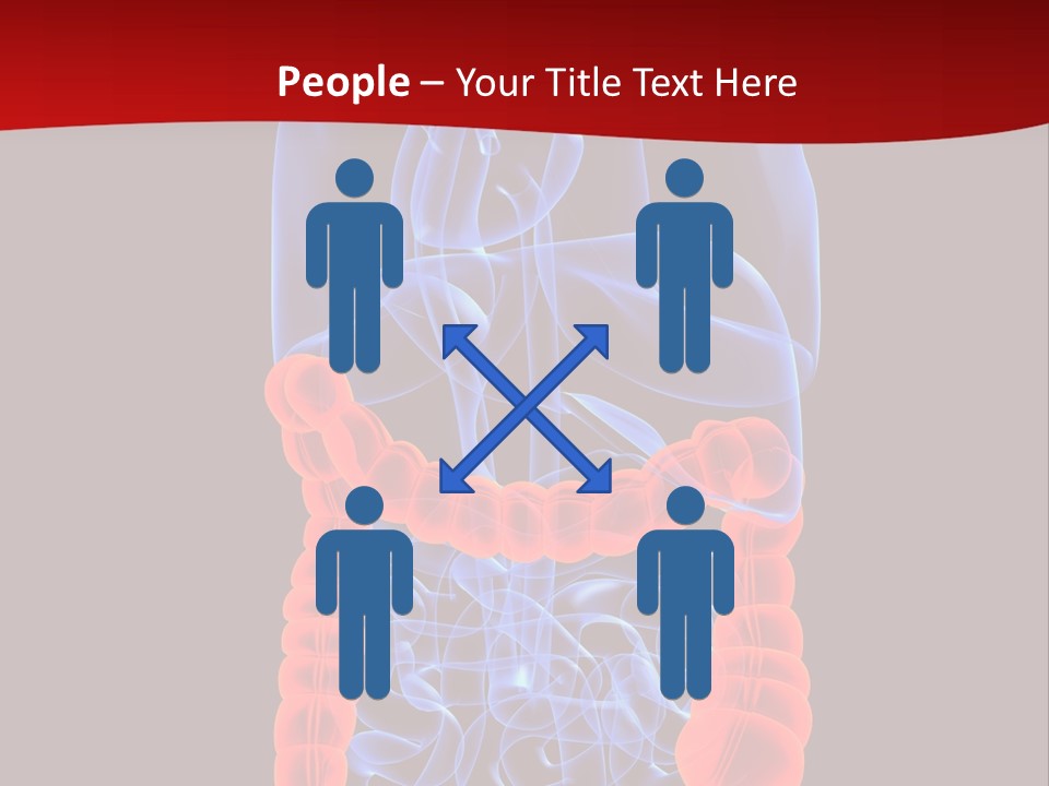 Highlighted Colon PowerPoint Template