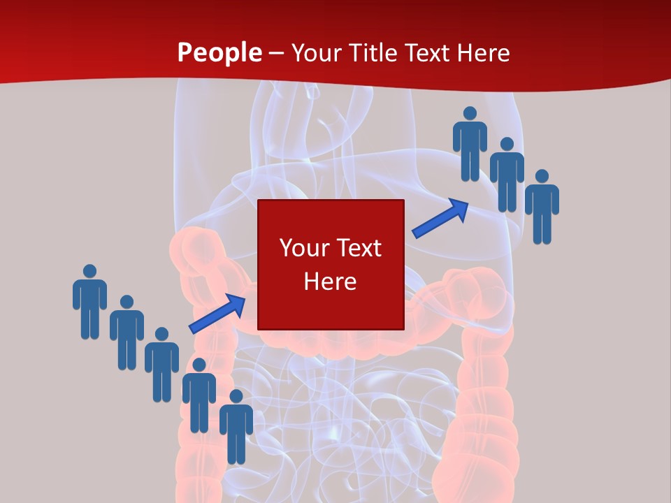 Highlighted Colon PowerPoint Template
