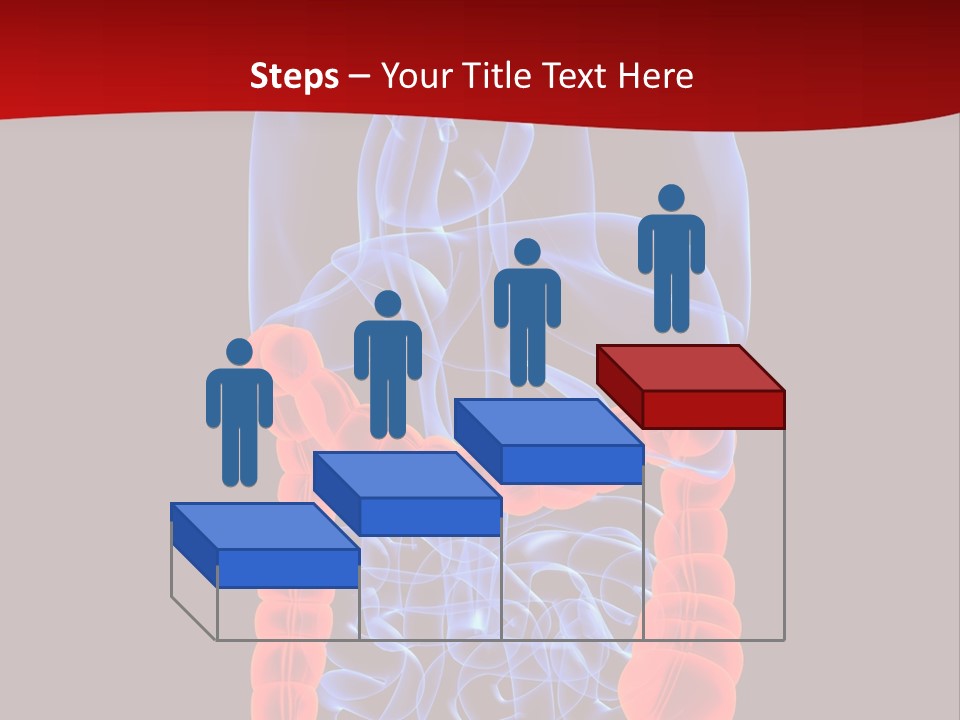 Highlighted Colon PowerPoint Template