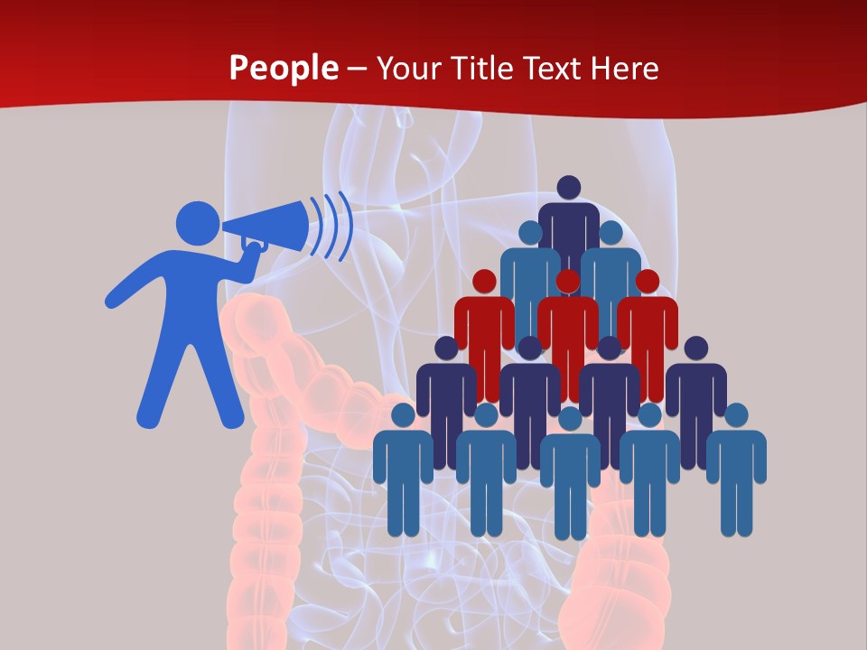 Highlighted Colon PowerPoint Template