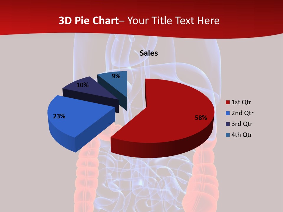 Highlighted Colon PowerPoint Template