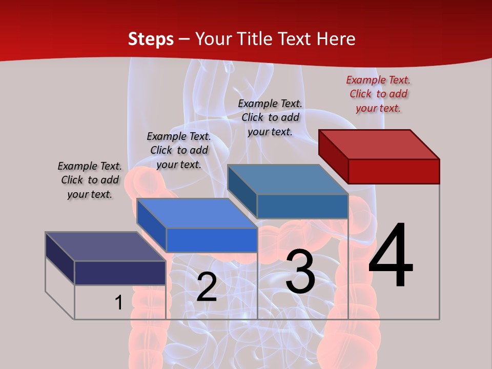 Highlighted Colon PowerPoint Template