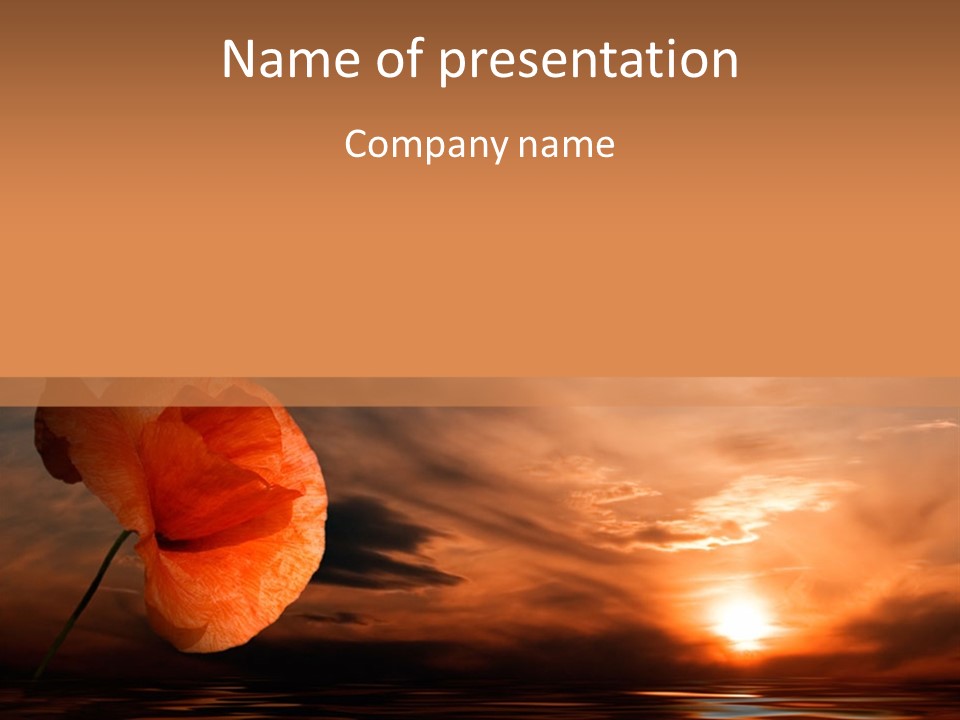 The Flower On Background Of The Sunset. The Abstraction. PowerPoint Template