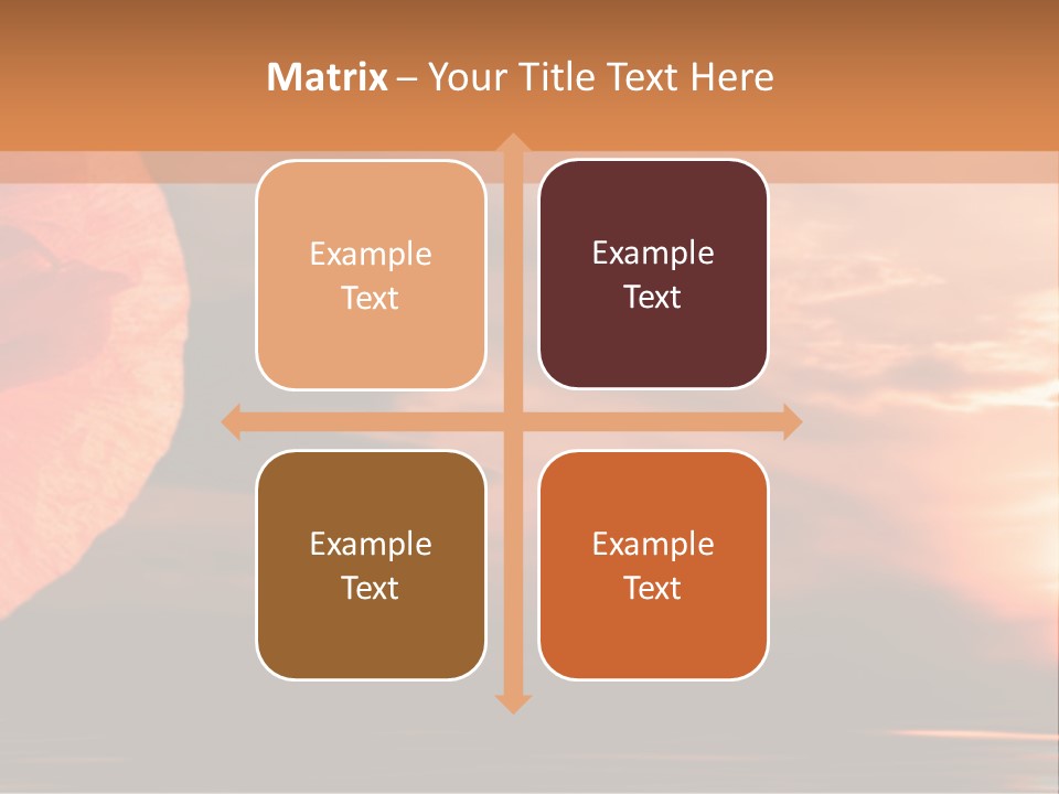 The Flower On Background Of The Sunset. The Abstraction. PowerPoint Template