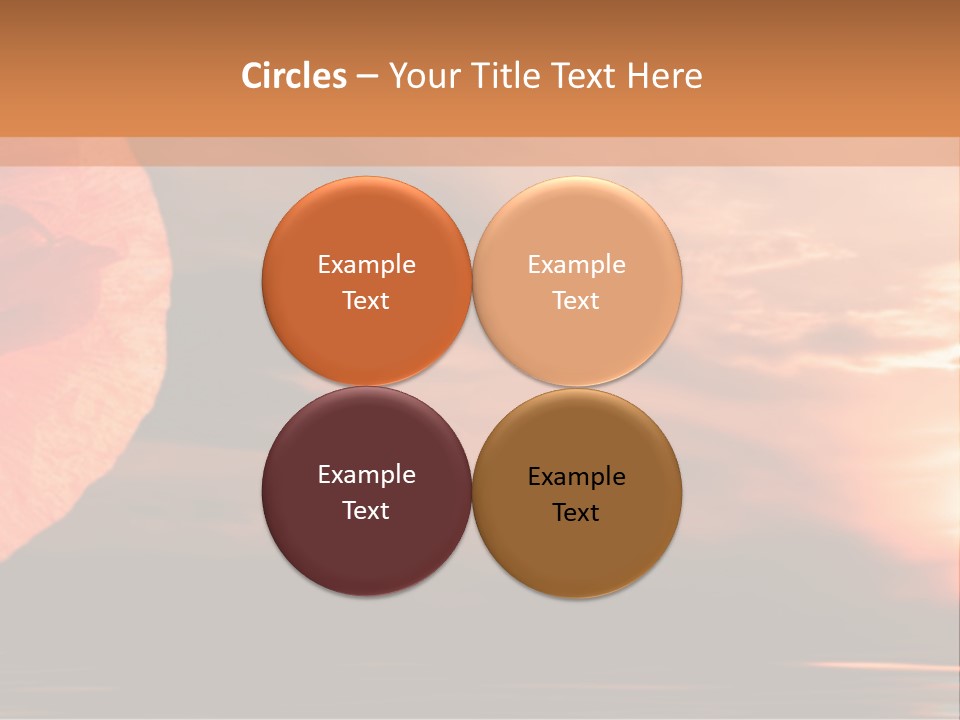 The Flower On Background Of The Sunset. The Abstraction. PowerPoint Template