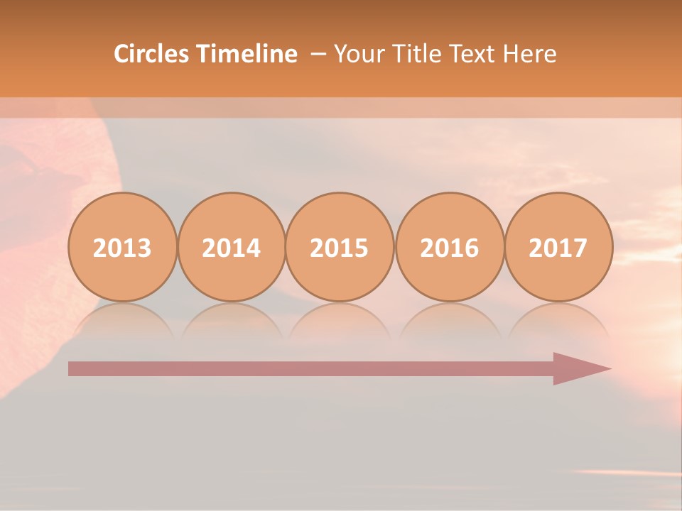 The Flower On Background Of The Sunset. The Abstraction. PowerPoint Template