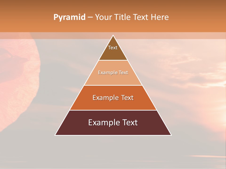 The Flower On Background Of The Sunset. The Abstraction. PowerPoint Template