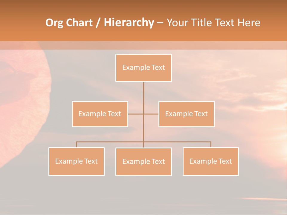 The Flower On Background Of The Sunset. The Abstraction. PowerPoint Template