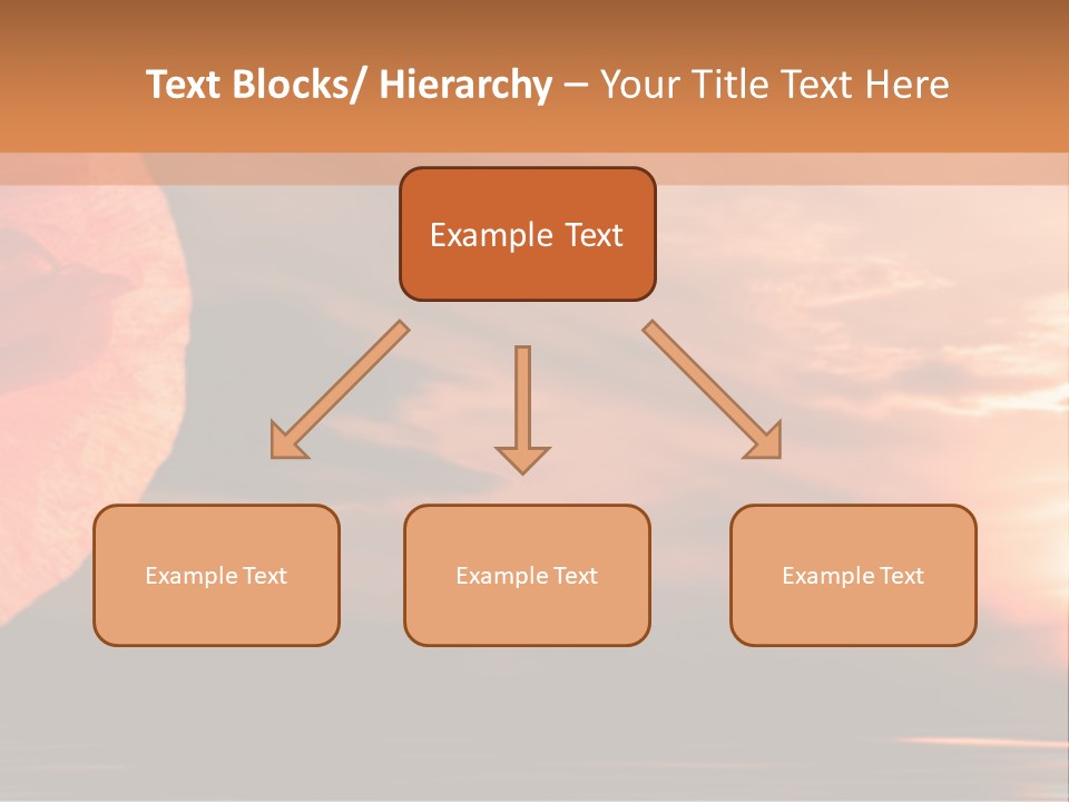 The Flower On Background Of The Sunset. The Abstraction. PowerPoint Template