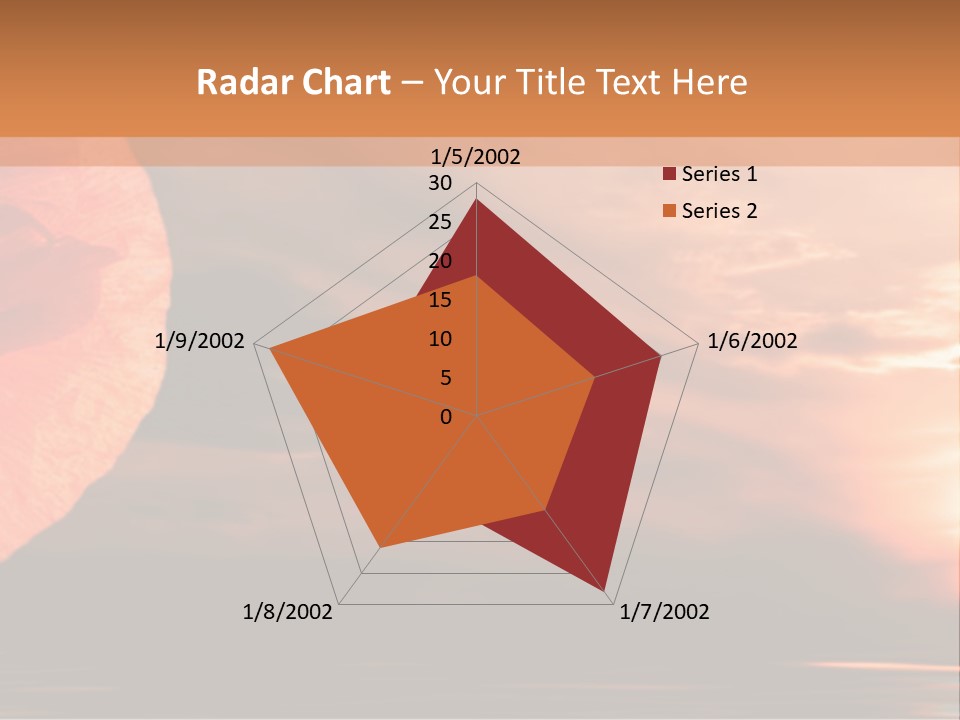The Flower On Background Of The Sunset. The Abstraction. PowerPoint Template