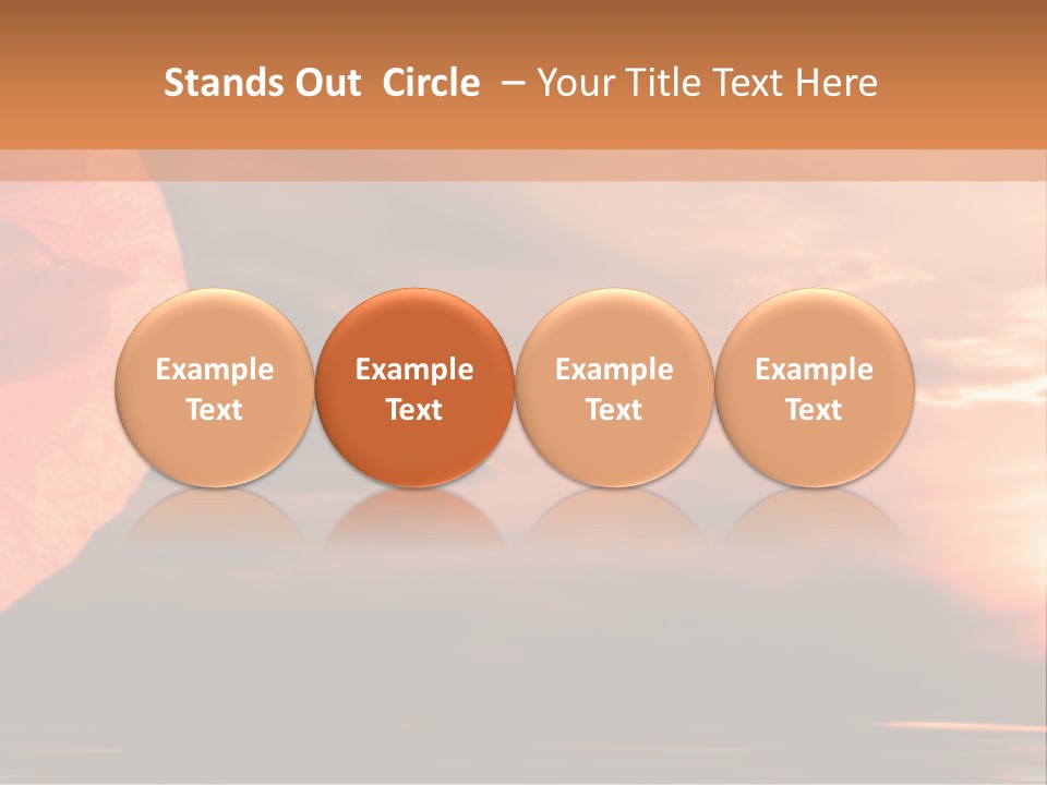 The Flower On Background Of The Sunset. The Abstraction. PowerPoint Template