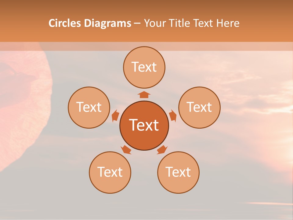 The Flower On Background Of The Sunset. The Abstraction. PowerPoint Template