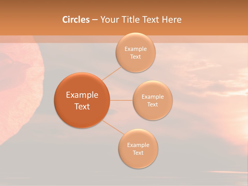 The Flower On Background Of The Sunset. The Abstraction. PowerPoint Template