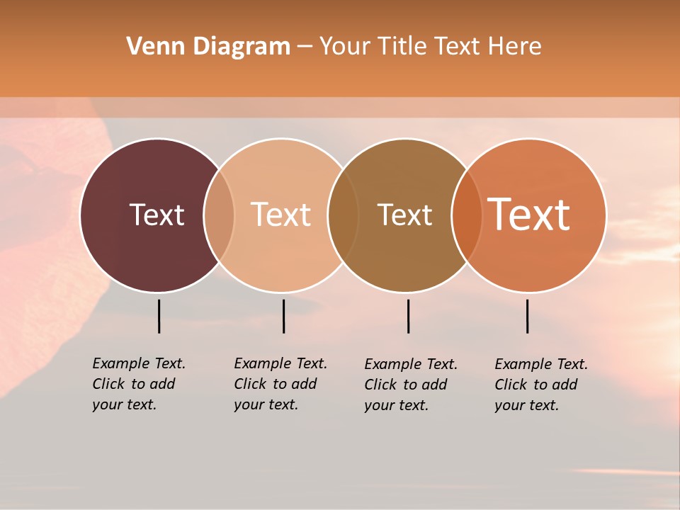 The Flower On Background Of The Sunset. The Abstraction. PowerPoint Template