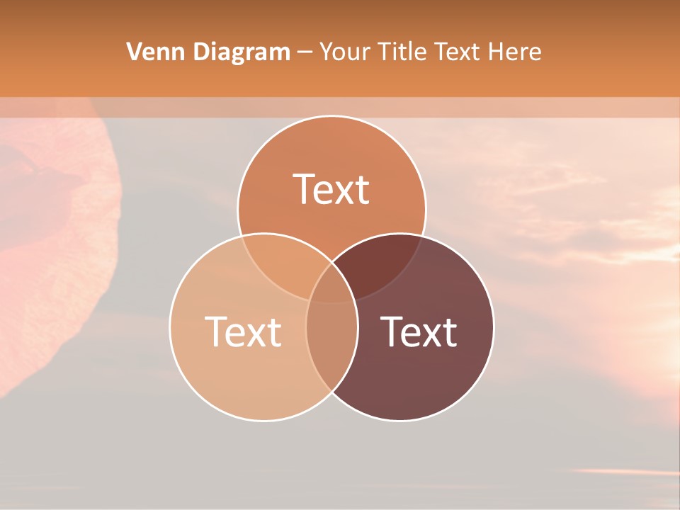 The Flower On Background Of The Sunset. The Abstraction. PowerPoint Template