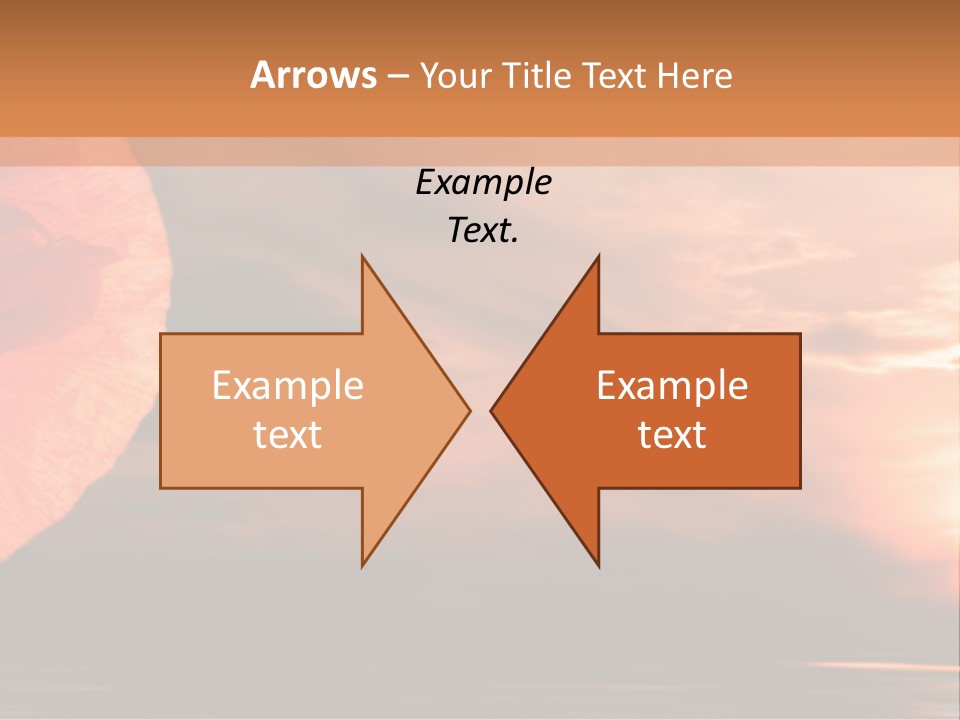 The Flower On Background Of The Sunset. The Abstraction. PowerPoint Template