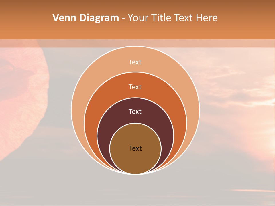 The Flower On Background Of The Sunset. The Abstraction. PowerPoint Template