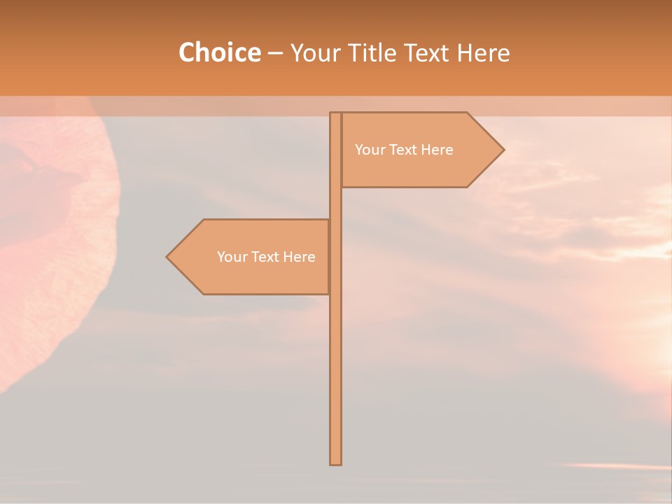 The Flower On Background Of The Sunset. The Abstraction. PowerPoint Template