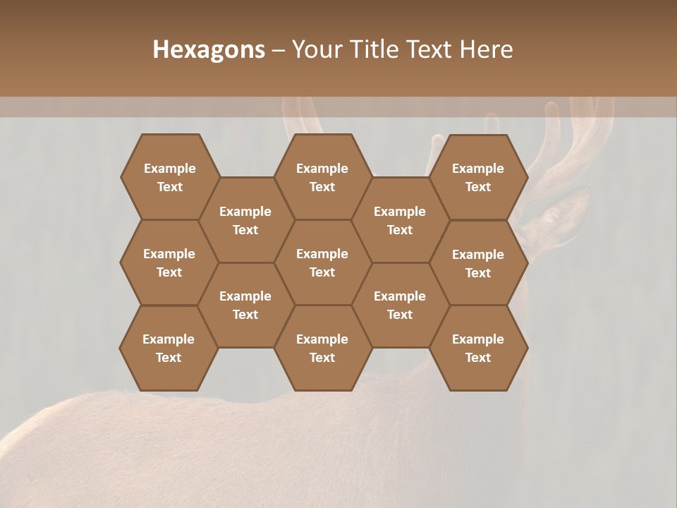 Reversible Elk PowerPoint Template