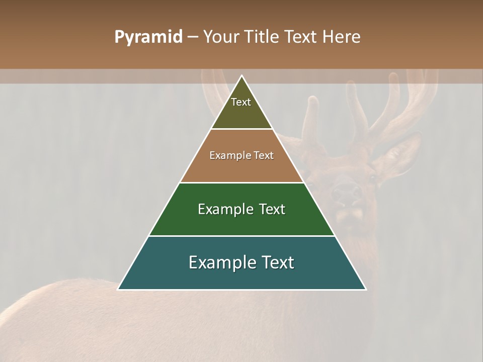 Reversible Elk PowerPoint Template