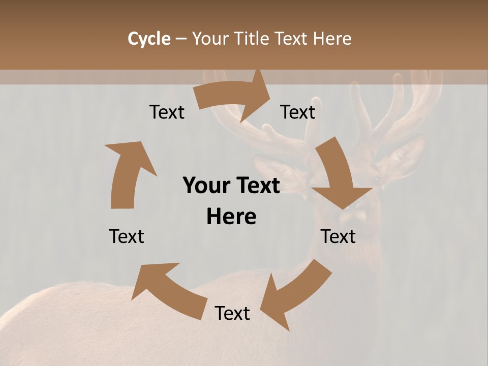 Reversible Elk PowerPoint Template