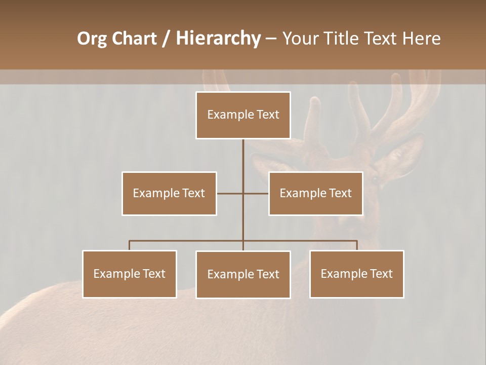 Reversible Elk PowerPoint Template