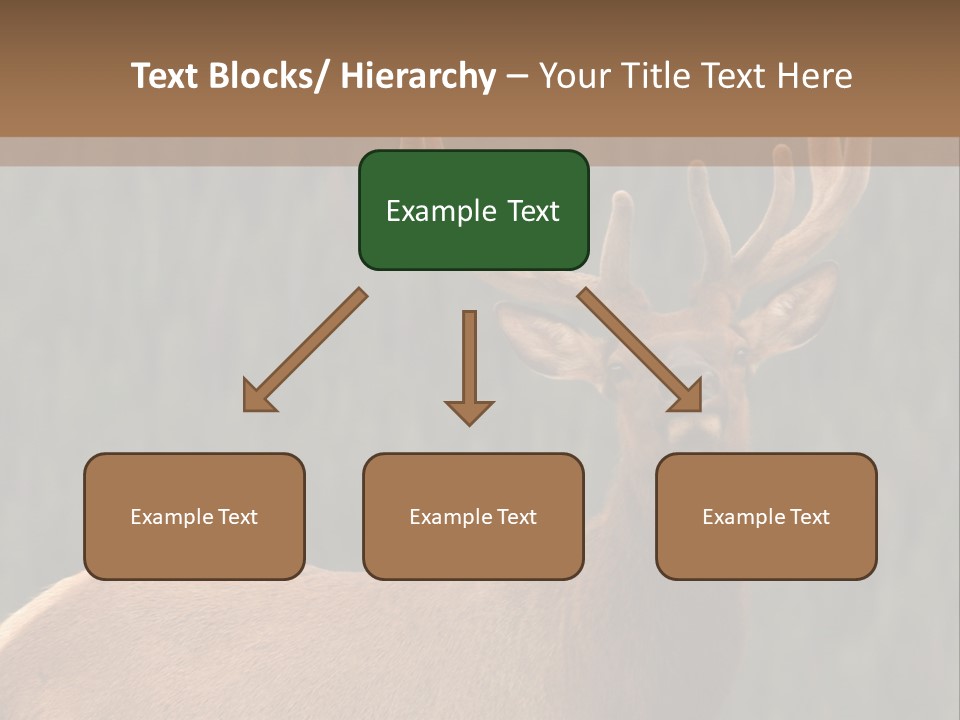Reversible Elk PowerPoint Template