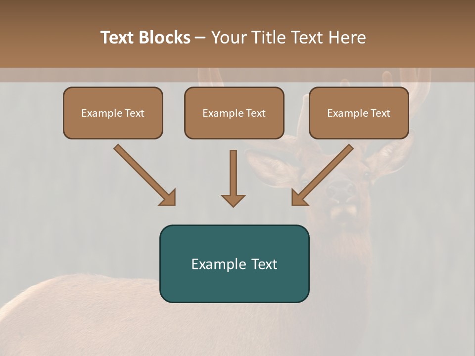 Reversible Elk PowerPoint Template