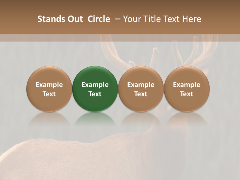 Reversible Elk PowerPoint Template