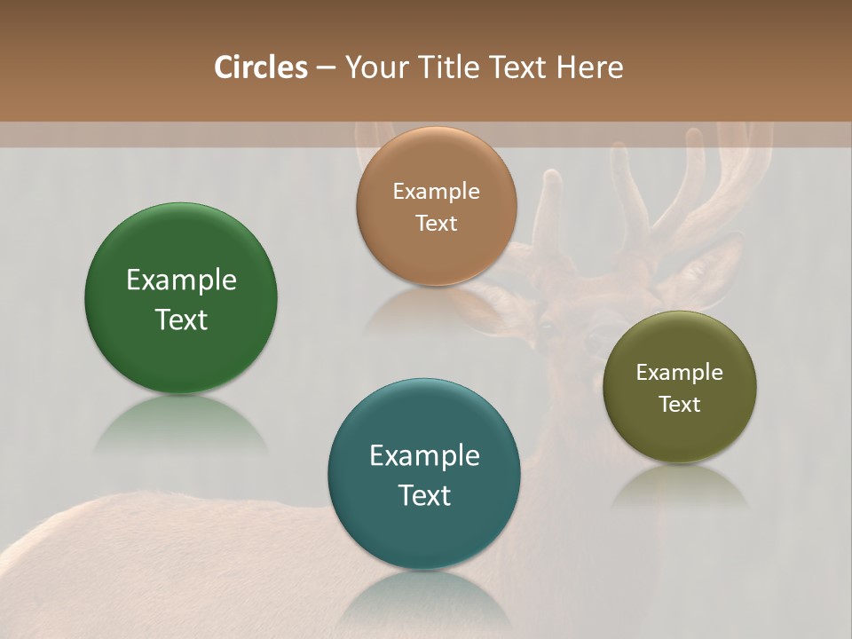 Reversible Elk PowerPoint Template