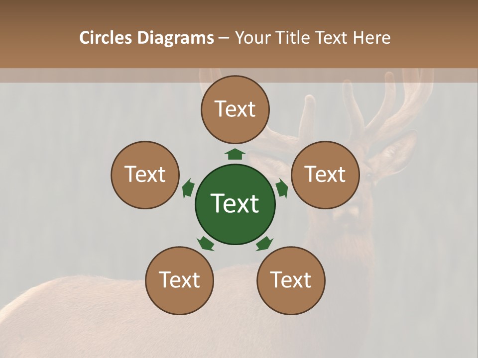 Reversible Elk PowerPoint Template