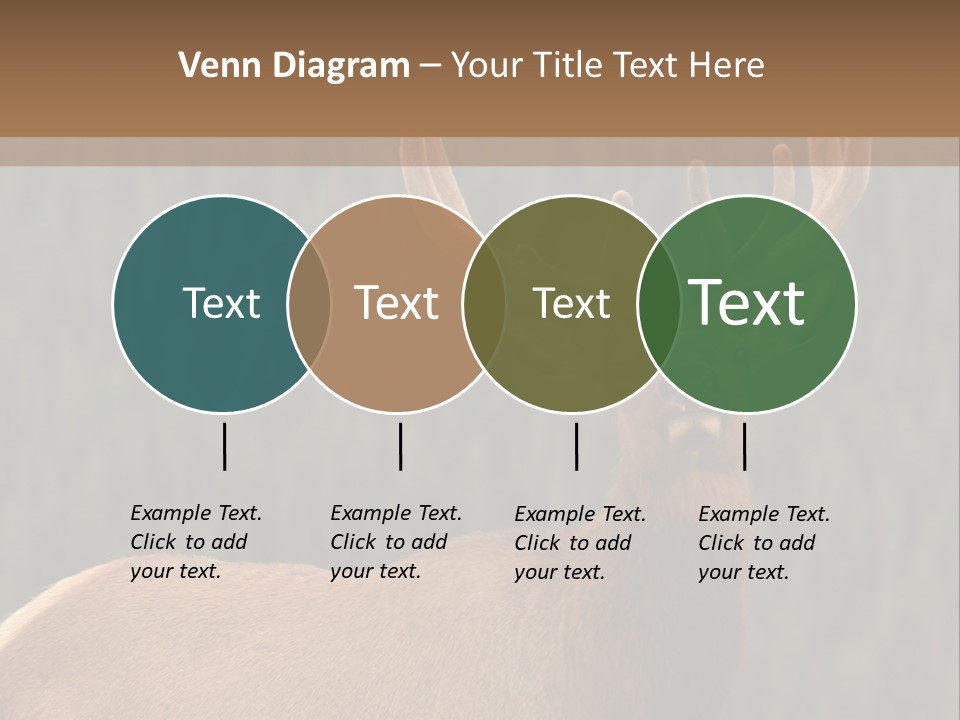 Reversible Elk PowerPoint Template