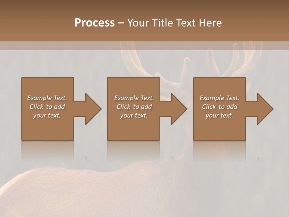 Reversible Elk PowerPoint Template
