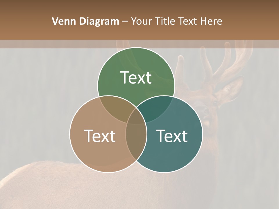 Reversible Elk PowerPoint Template