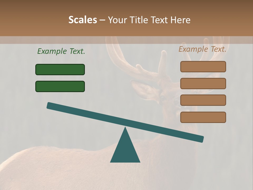 Reversible Elk PowerPoint Template