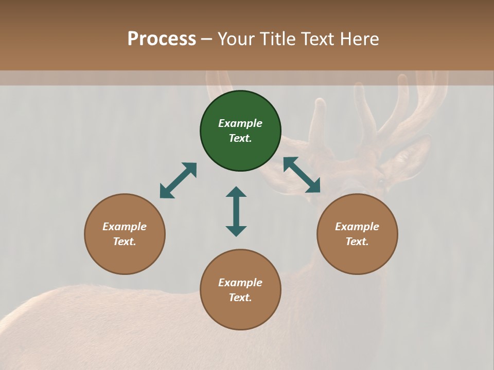 Reversible Elk PowerPoint Template
