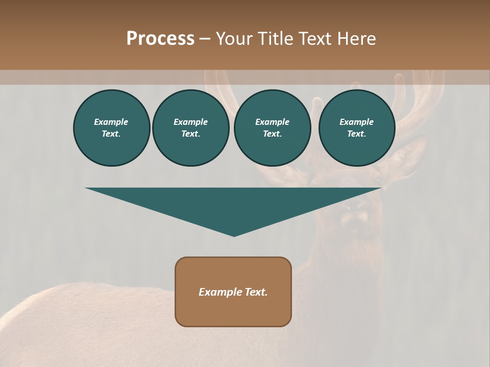 Reversible Elk PowerPoint Template