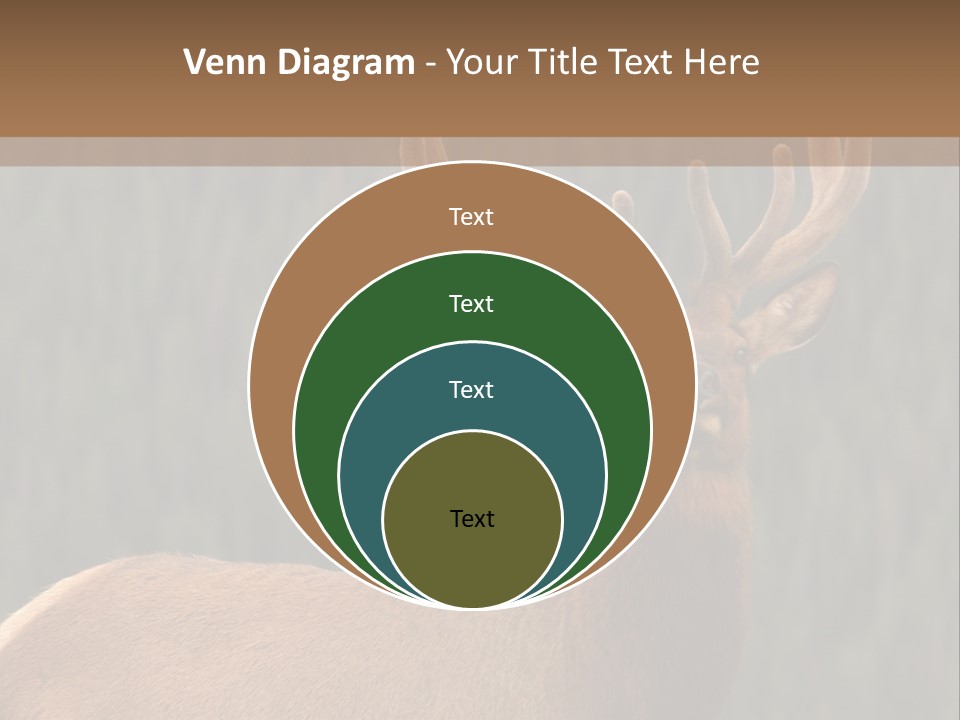 Reversible Elk PowerPoint Template