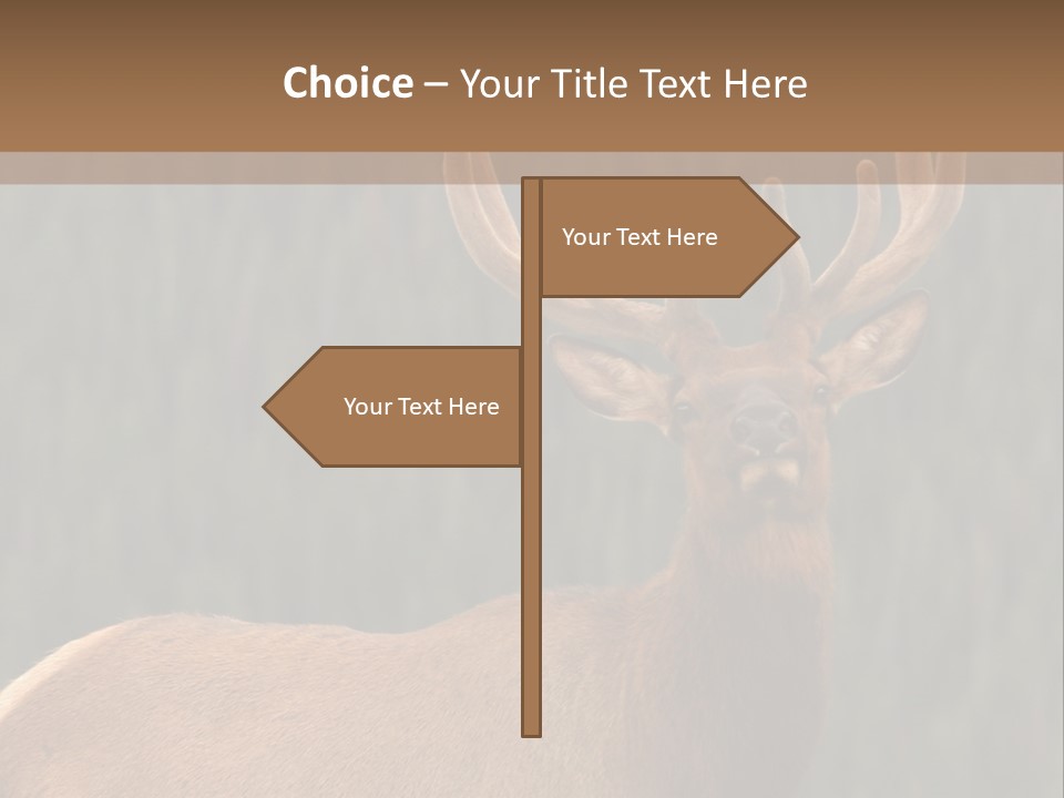 Reversible Elk PowerPoint Template