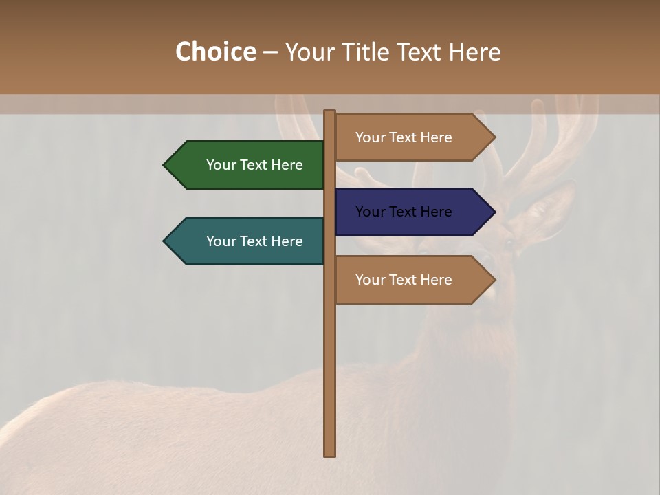 Reversible Elk PowerPoint Template