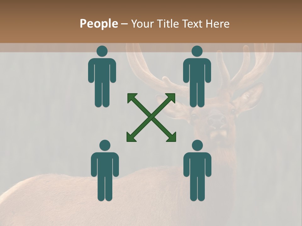 Reversible Elk PowerPoint Template