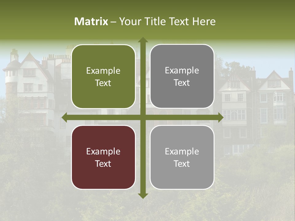 A Trustful Friend. Portrait Of Puppy Bernese Mountain Dog PowerPoint Template