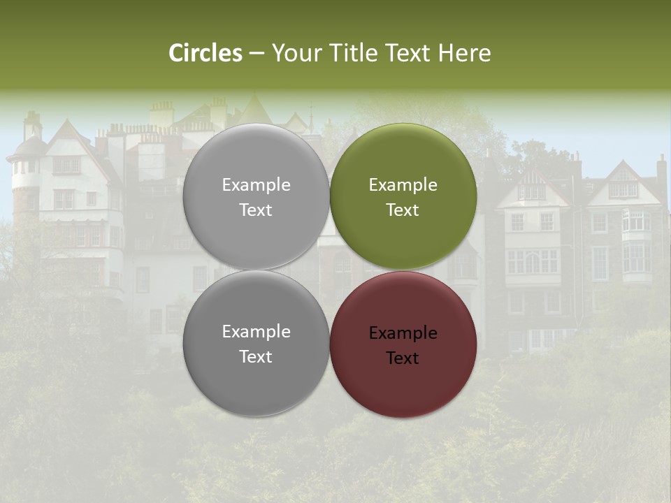 A Trustful Friend. Portrait Of Puppy Bernese Mountain Dog PowerPoint Template