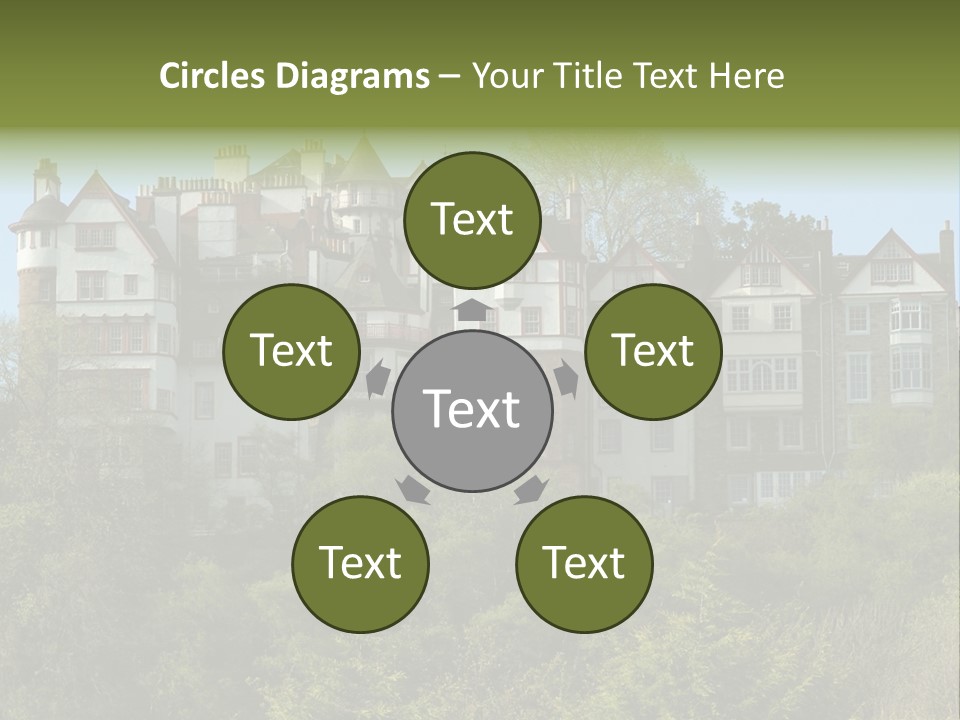 A Trustful Friend. Portrait Of Puppy Bernese Mountain Dog PowerPoint Template