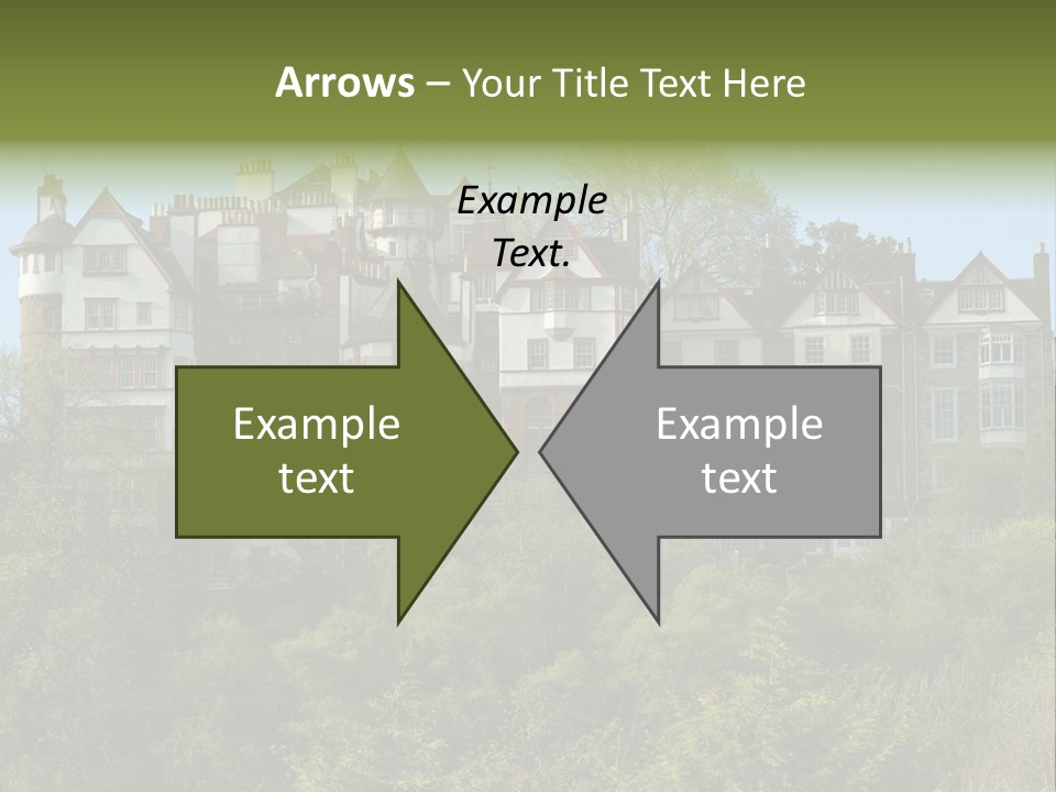 A Trustful Friend. Portrait Of Puppy Bernese Mountain Dog PowerPoint Template