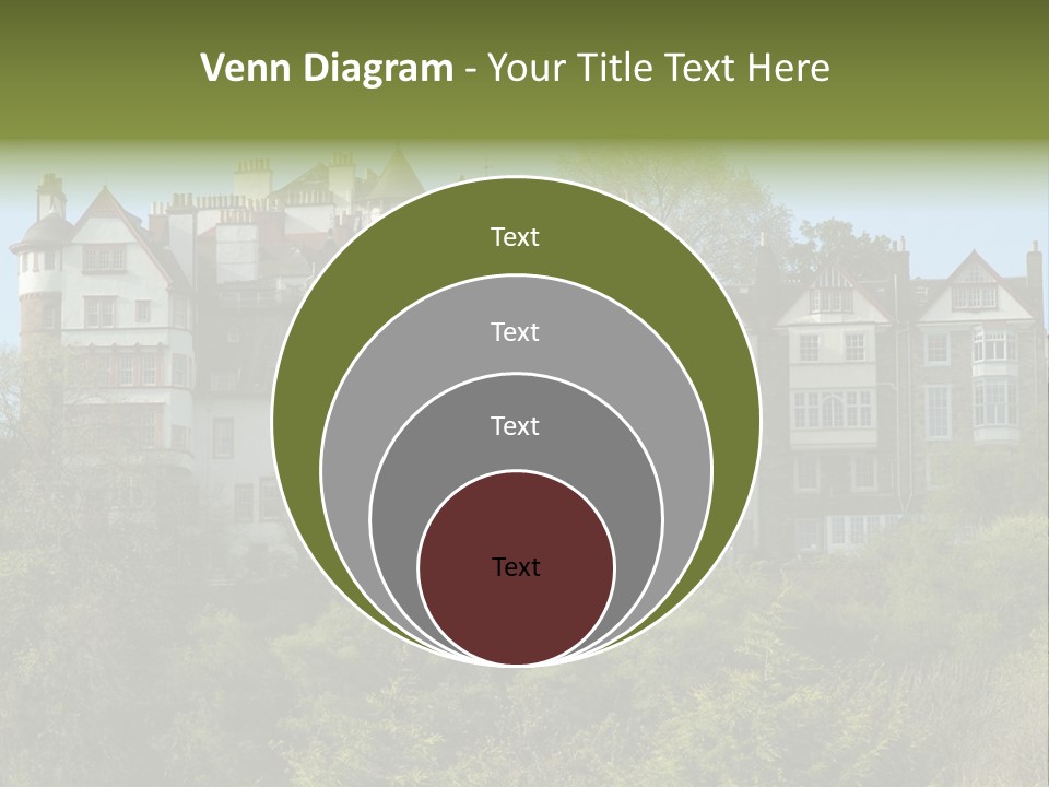 A Trustful Friend. Portrait Of Puppy Bernese Mountain Dog PowerPoint Template
