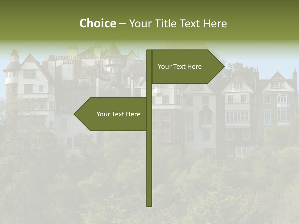 A Trustful Friend. Portrait Of Puppy Bernese Mountain Dog PowerPoint Template