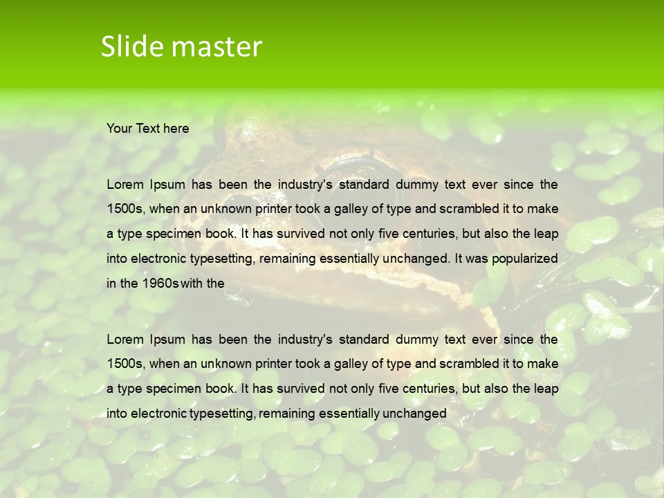 Common Frog (Rana Temporaria) 06 PowerPoint Template