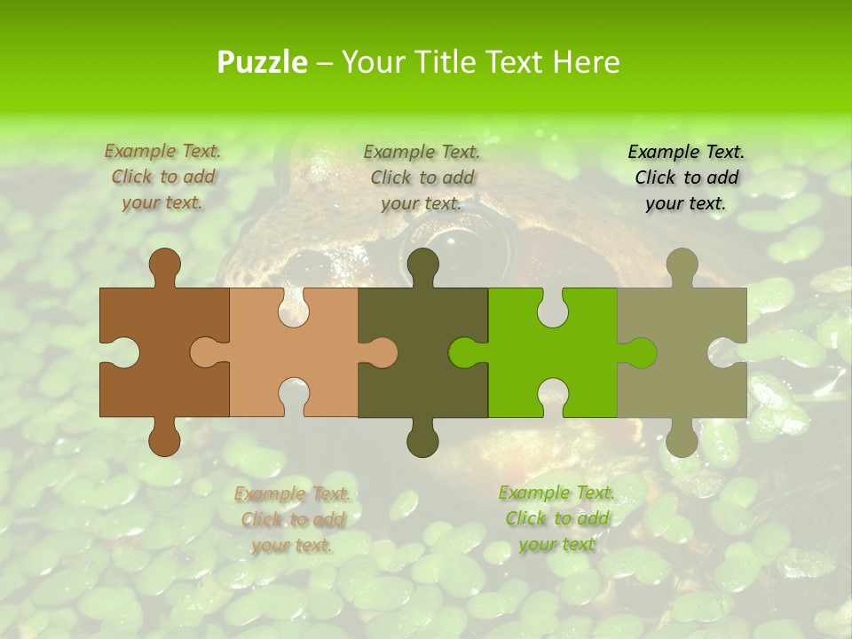 Common Frog (Rana Temporaria) 06 PowerPoint Template