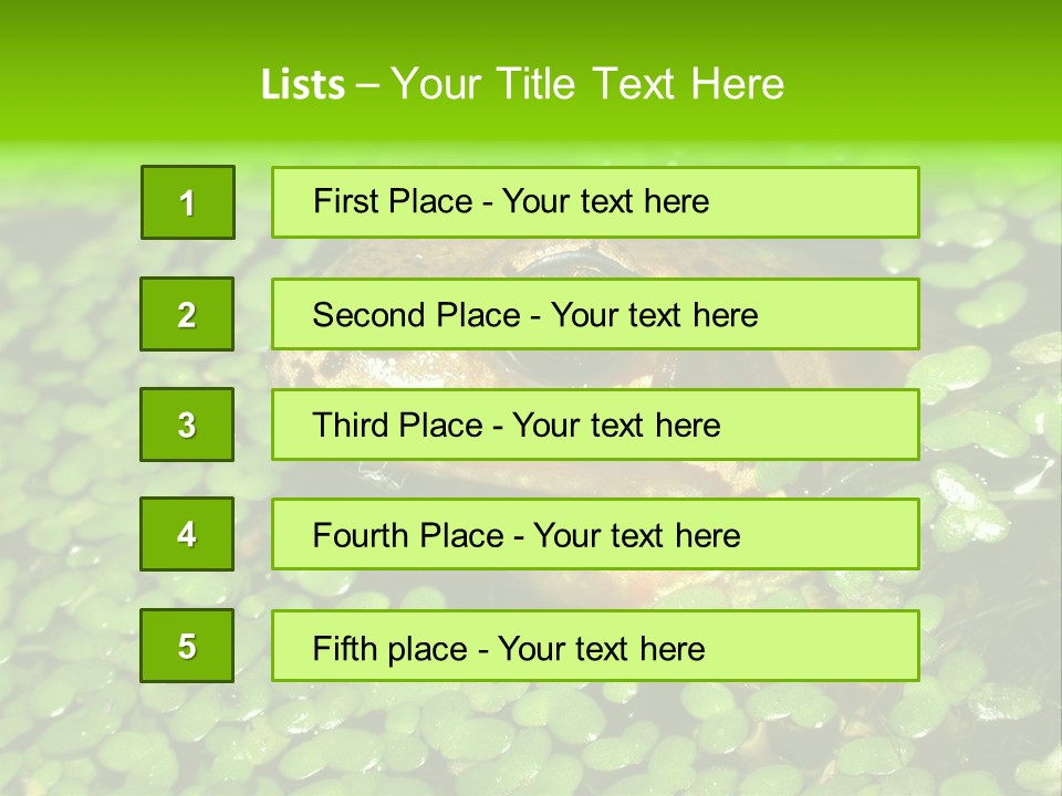 Common Frog (Rana Temporaria) 06 PowerPoint Template